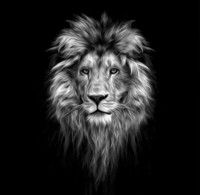 Album cover of 2essentialz single - Lion, cover is a picture of a lions head 